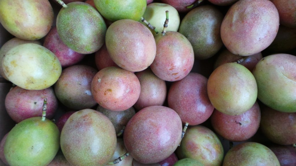 passion fruits