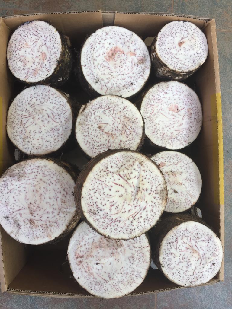 img 20181108 wa0053